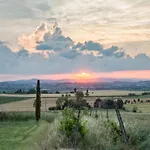 Rustic Charm, Modern Comfort Cortona