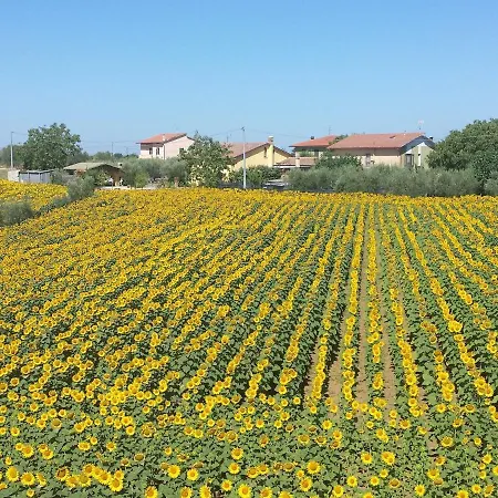 Belvilla By Oyo Sparsa Girasole Cortona