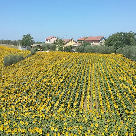 Rustic Charm, Modern Comfort 펜션 코르토나