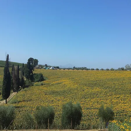 Rustic Charm, Modern Comfort