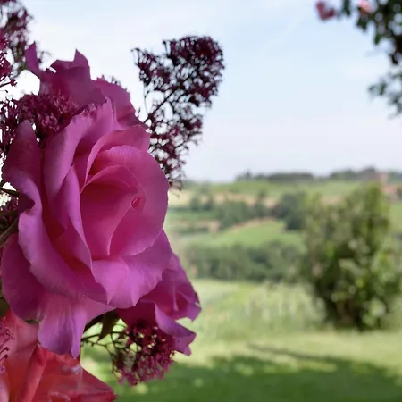 Rustic Charm, Modern Comfort