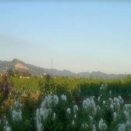 Rustic Charm, Modern Comfort * Cortona
