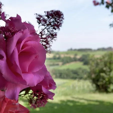 Belvilla By Oyo Sparsa Girasole * Cortona