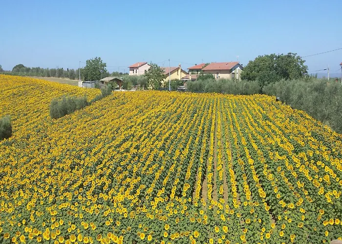 Rustic Charm, Modern Comfort Holiday home Cortona