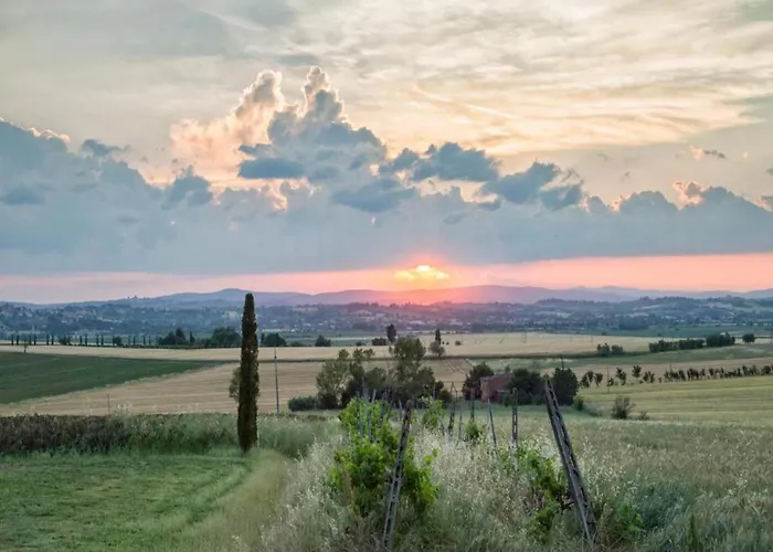 Rustic Charm, Modern Comfort Cortona