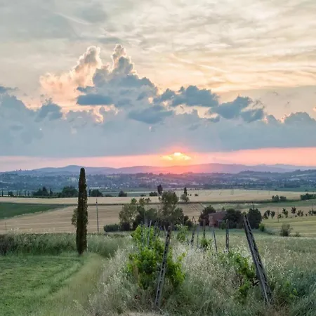 Rustic Charm, Modern Comfort Cortona