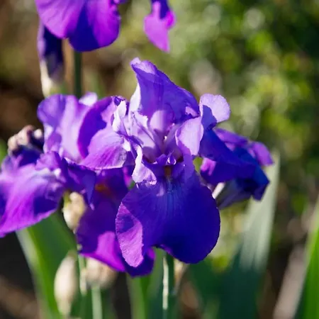 Rustic Charm, Modern Comfort