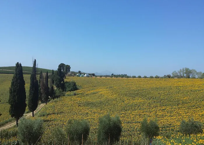 Rustic Charm, Modern Comfort