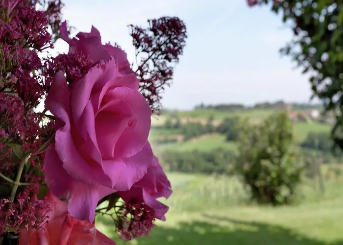 Rustic Charm, Modern Comfort