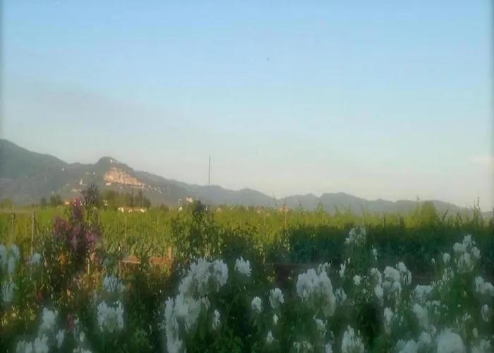 Rustic Charm, Modern Comfort * Cortone