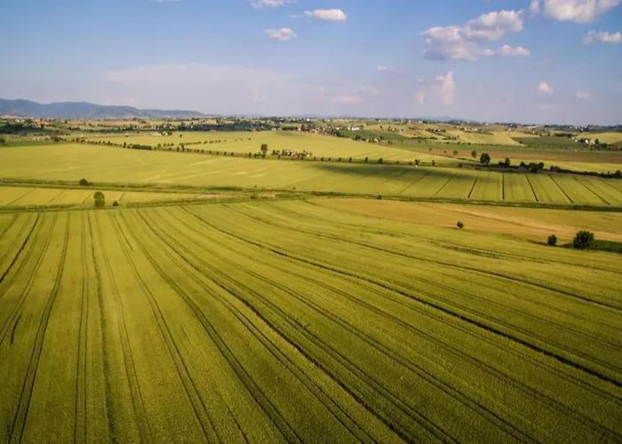 Hébergement de vacances Rustic Charm, Modern Comfort