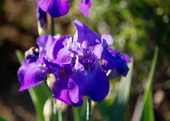 Rustic Charm, Modern Comfort